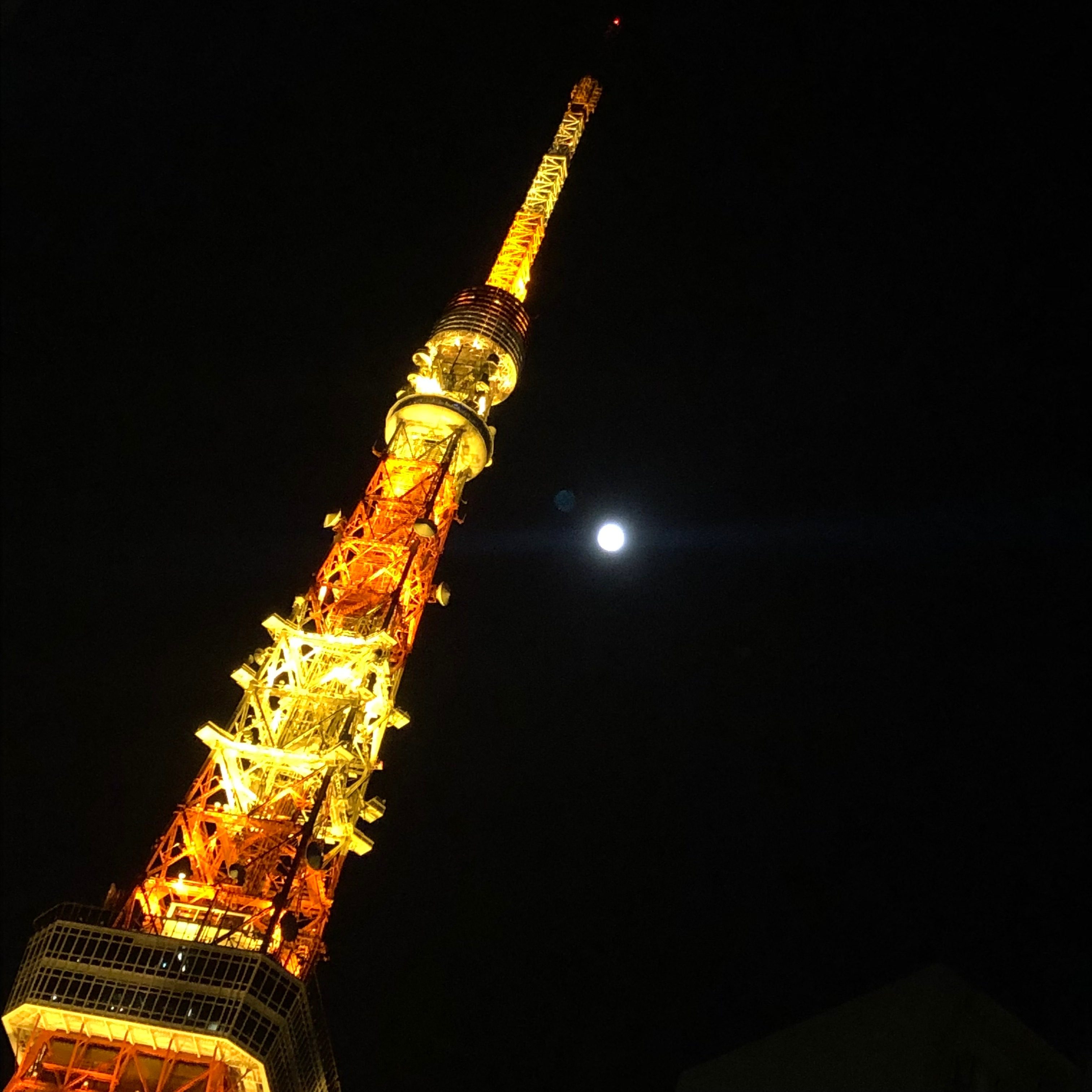 日本に帰って来て思うこと。